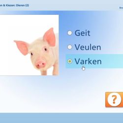Lezen & Kiezen: Dieren