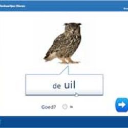 Oefenkaartjes: Dieren