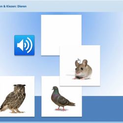 Luisteren & Kiezen: Dieren