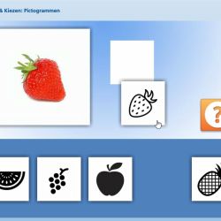 Kijken & Kiezen: Pictogrammen