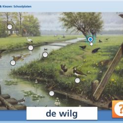 Lezen & Kiezen: Schoolplaten