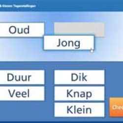 Lezen & Kiezen: Tegenstellingen