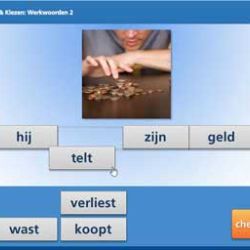 Lezen & Kiezen: Werkwoorden 2