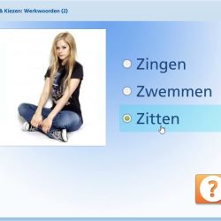 Lezen & Kiezen: Werkwoorden (2)