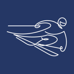 Skiën (Alpine)
