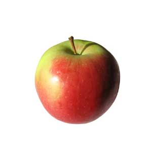 Appel