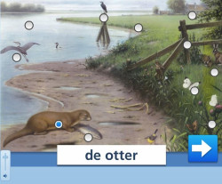 Benoemen: Oude Schoolplaten