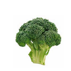 Broccoli