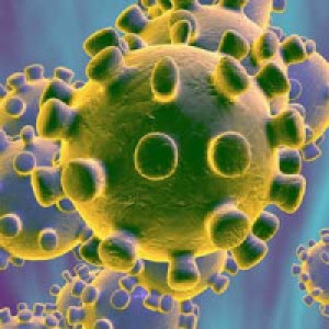 Corona virus