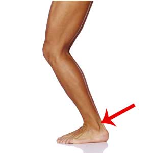 Enkel