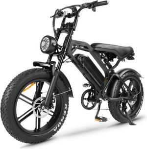 Fatbike
