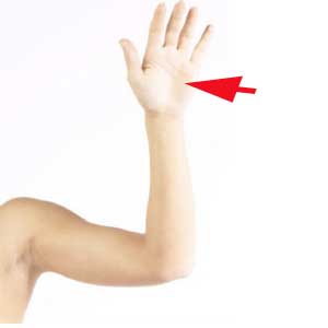 Hand