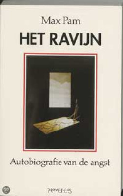 Het ravijn