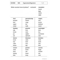Lexicaal-semantische stoornissen - Therapiemateriaal (eBoek)