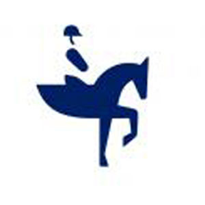 Paardensport