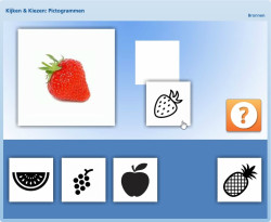 Kijken & Kiezen: Pictogrammen