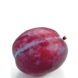 Pruim