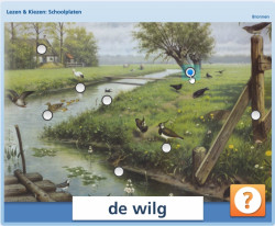 Lezen & Kiezen: Schoolplaten