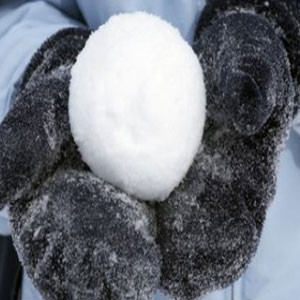 Sneeuwbal