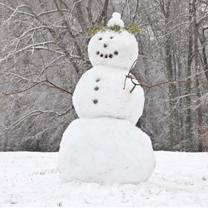 Sneeuwpop