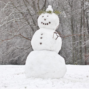 Sneeuwpop