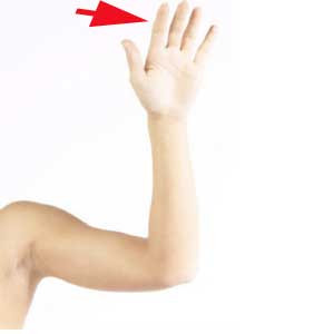 Vinger