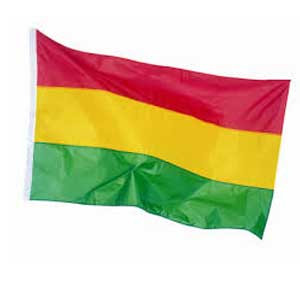 Vlag