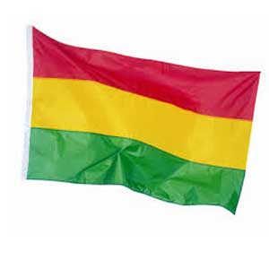 Vlag